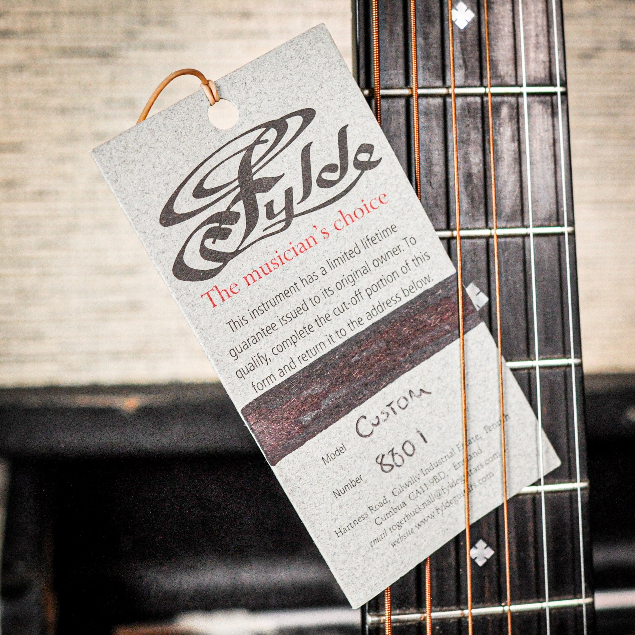 Fylde 8801 Custom Acoustic 2010s