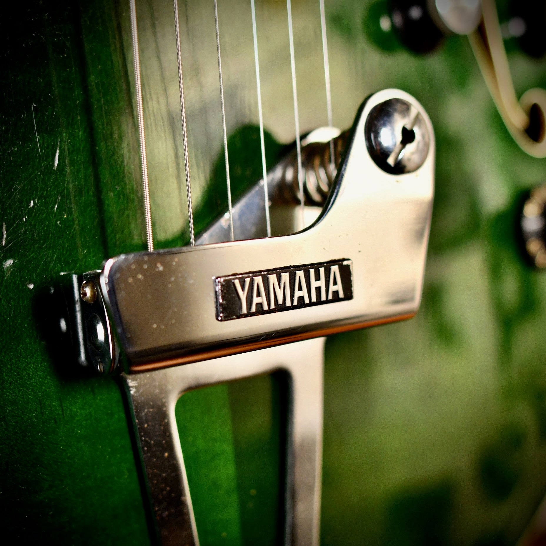 Yamaha SA-30T Alga Green 1968 – Hanks