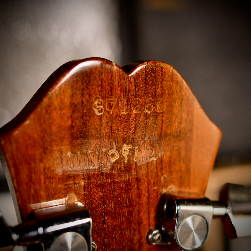 Epiphone Texan FT-79N Natural 1967
