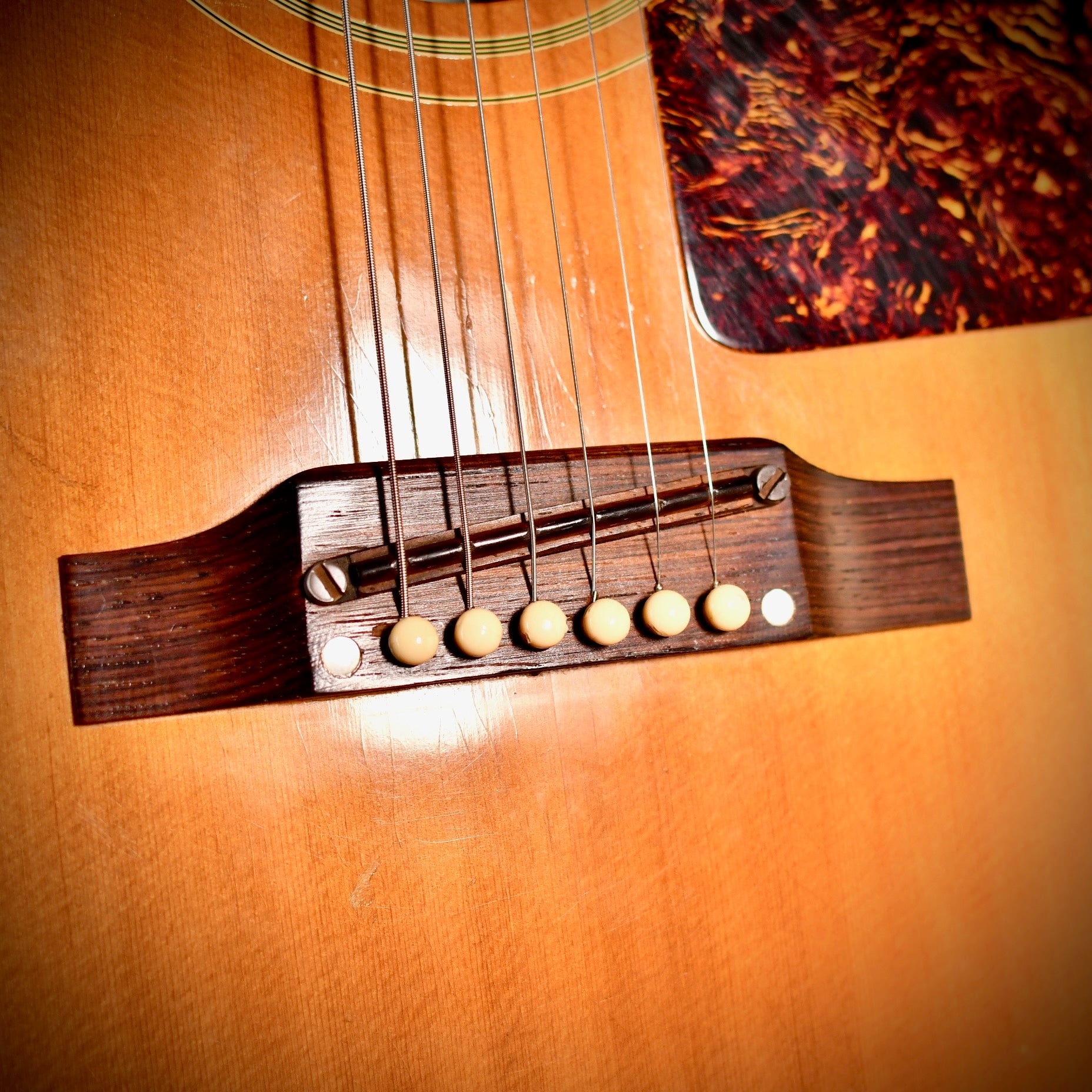 Epiphone Texan FT-79N Natural 1967