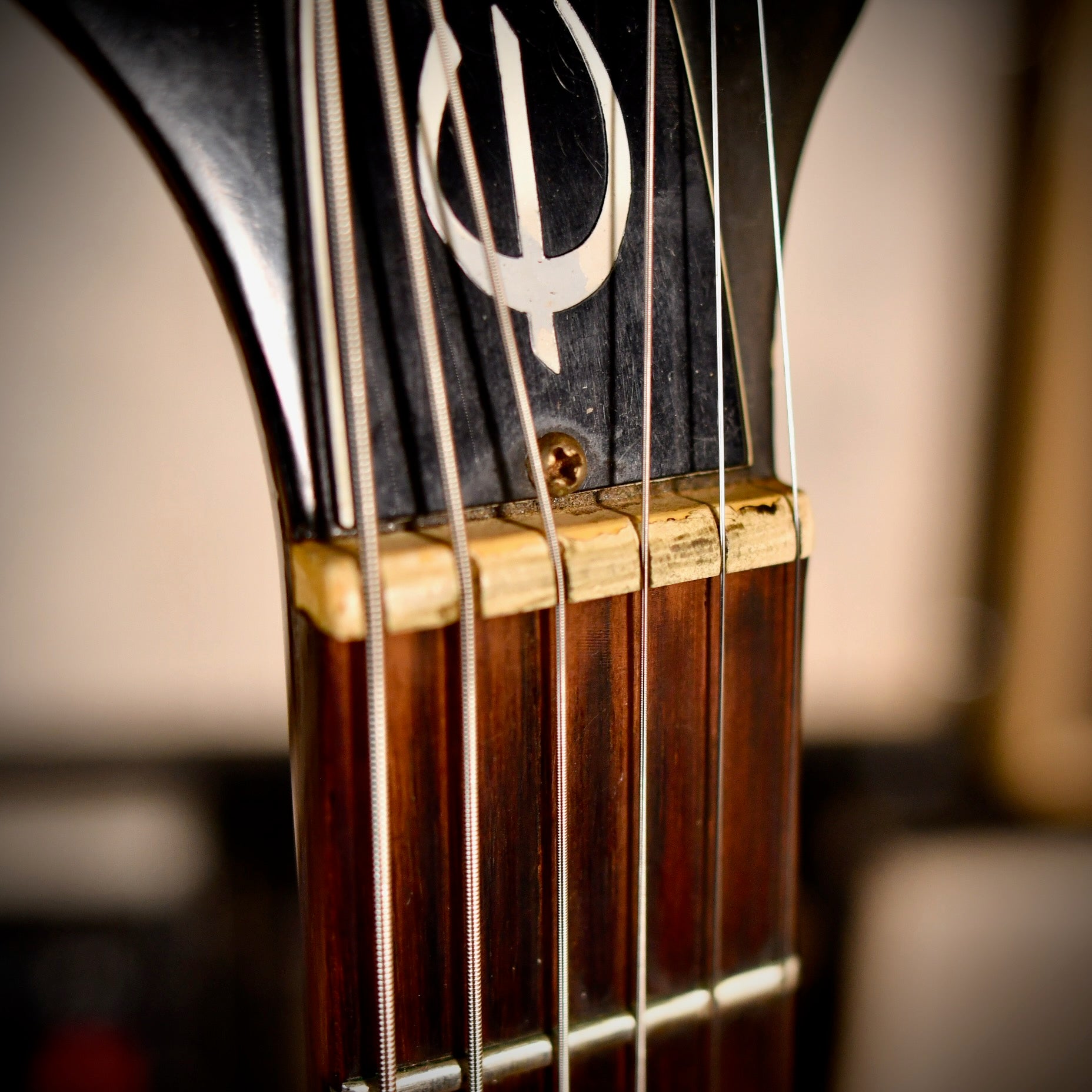 Epiphone Texan FT-79N Natural 1967