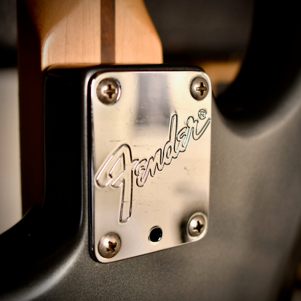 Fender Stratocaster Eric Clapton Signature Pewter 1989