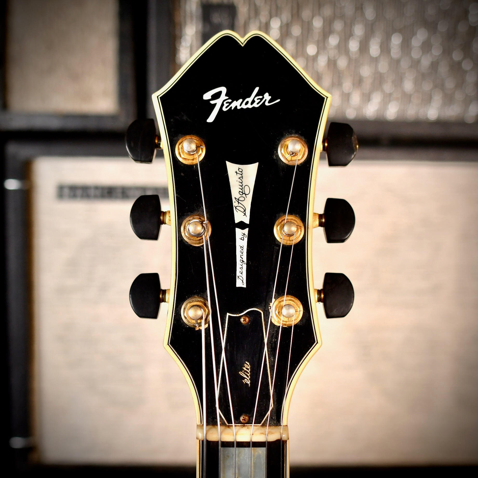 Fender D'Aquisto Elite Natural 1984