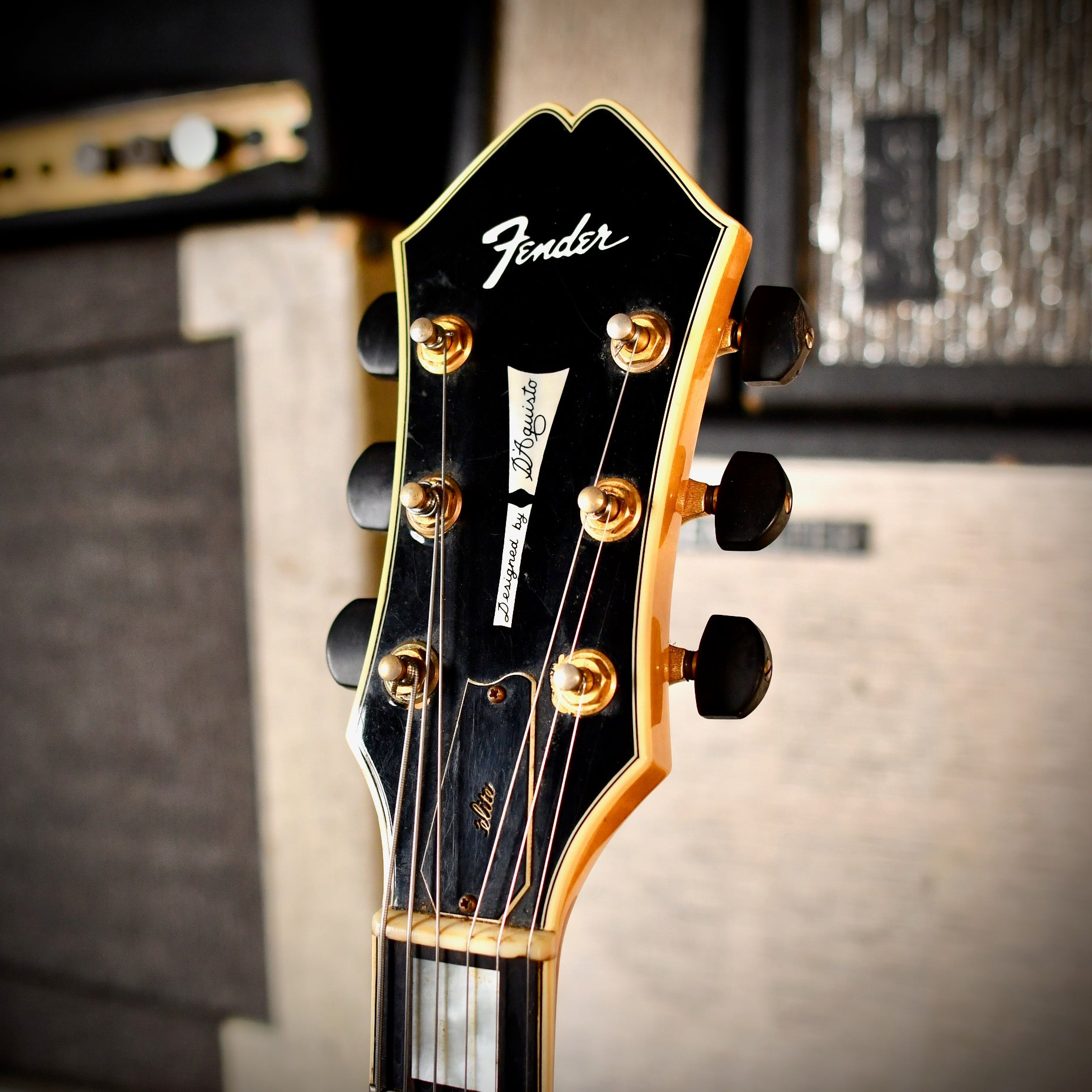 Fender D'Aquisto Elite Natural 1984