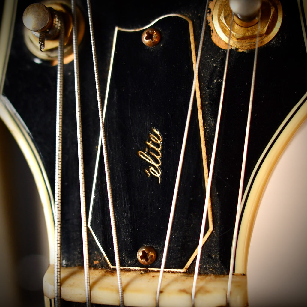 Fender D'Aquisto Elite Natural 1984