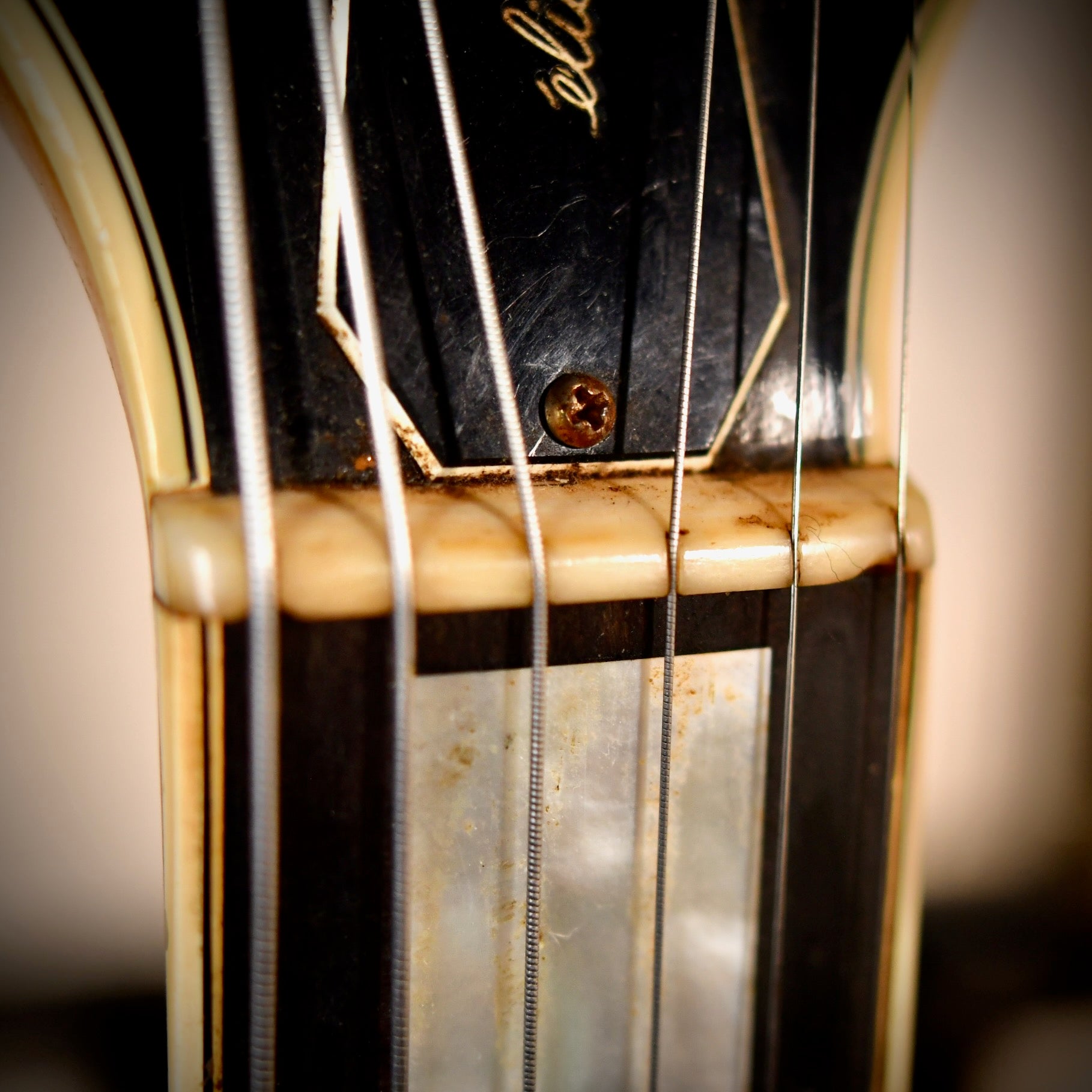 Fender D'Aquisto Elite Natural 1984