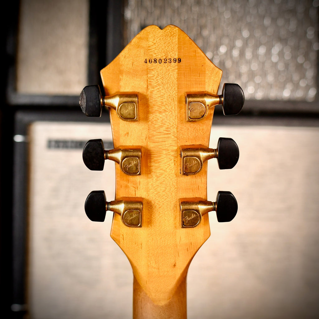 Fender D'Aquisto Elite Natural 1984
