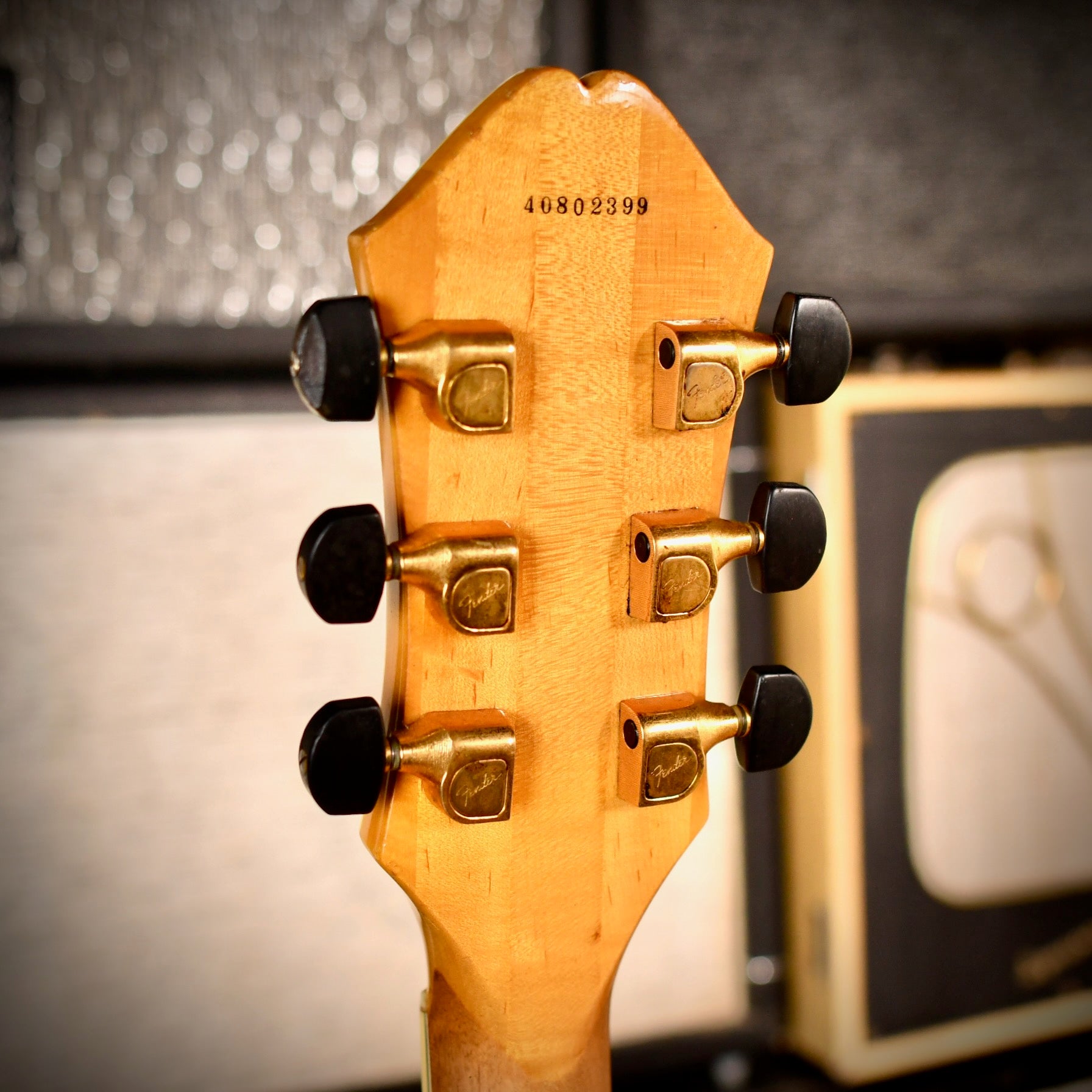 Fender D'Aquisto Elite Natural 1984