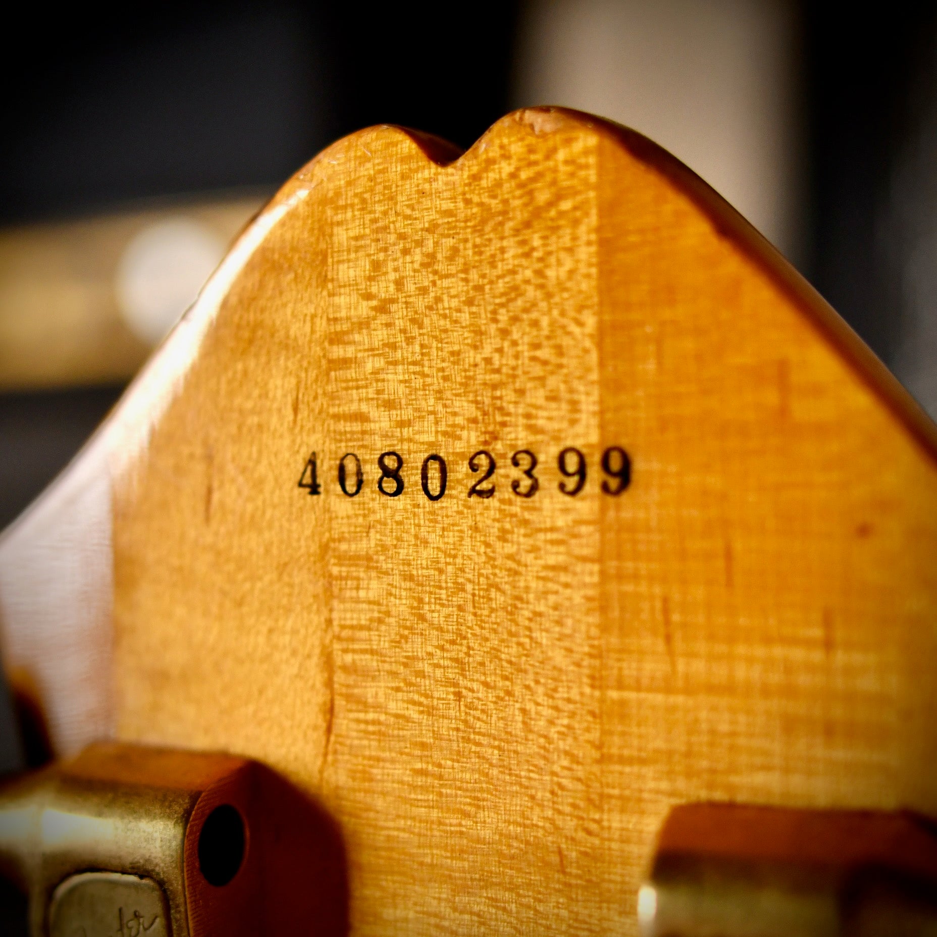 Fender D'Aquisto Elite Natural 1984