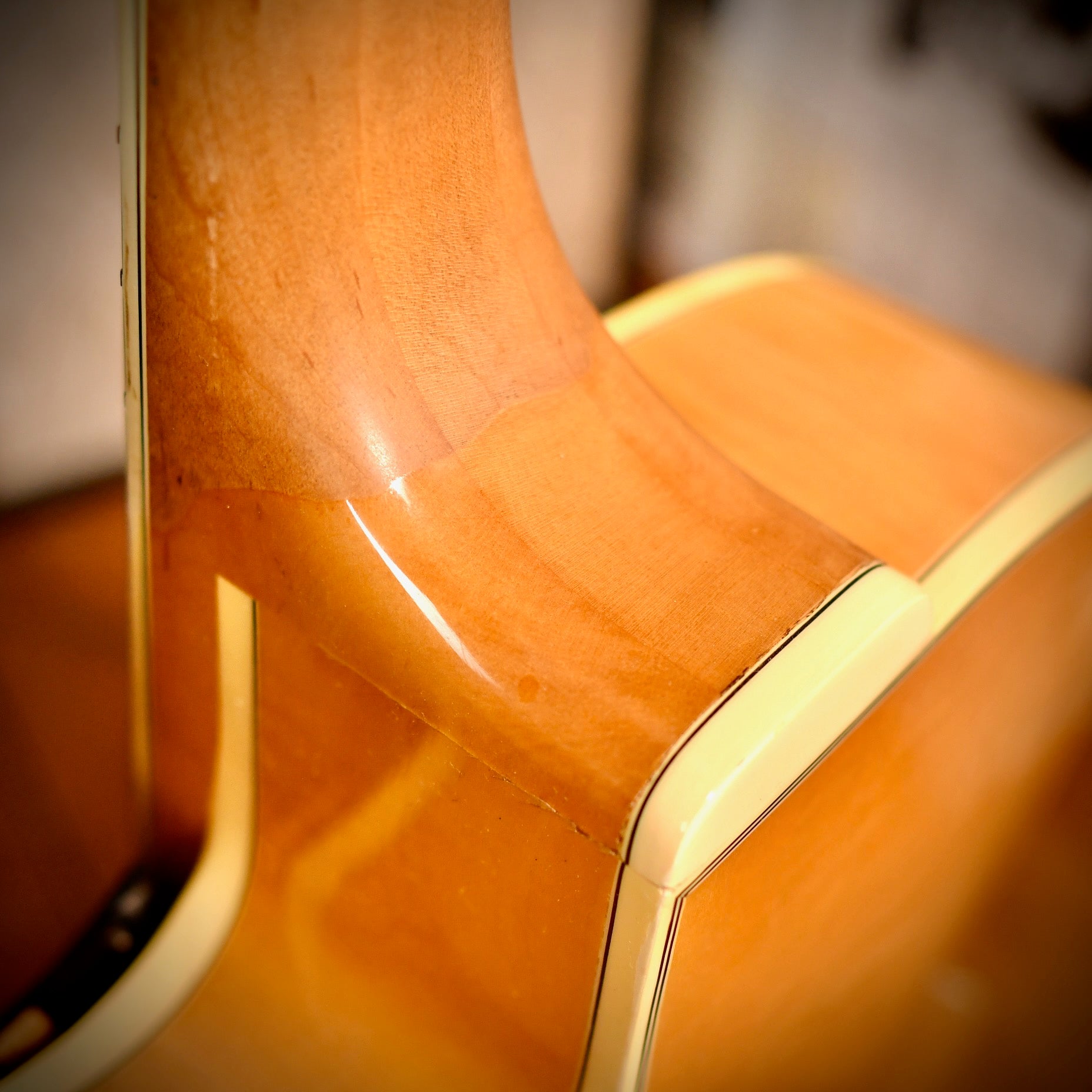 Fender D'Aquisto Elite Natural 1984