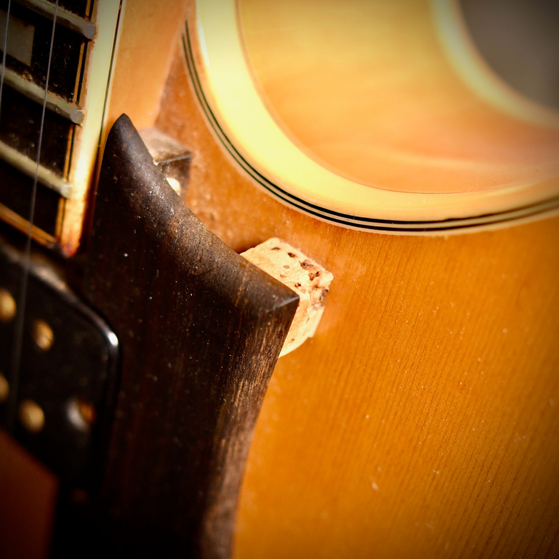Fender D'Aquisto Elite Natural 1984