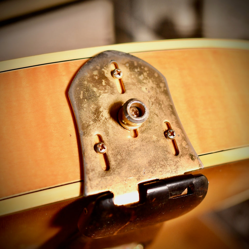 Fender D'Aquisto Elite Natural 1984