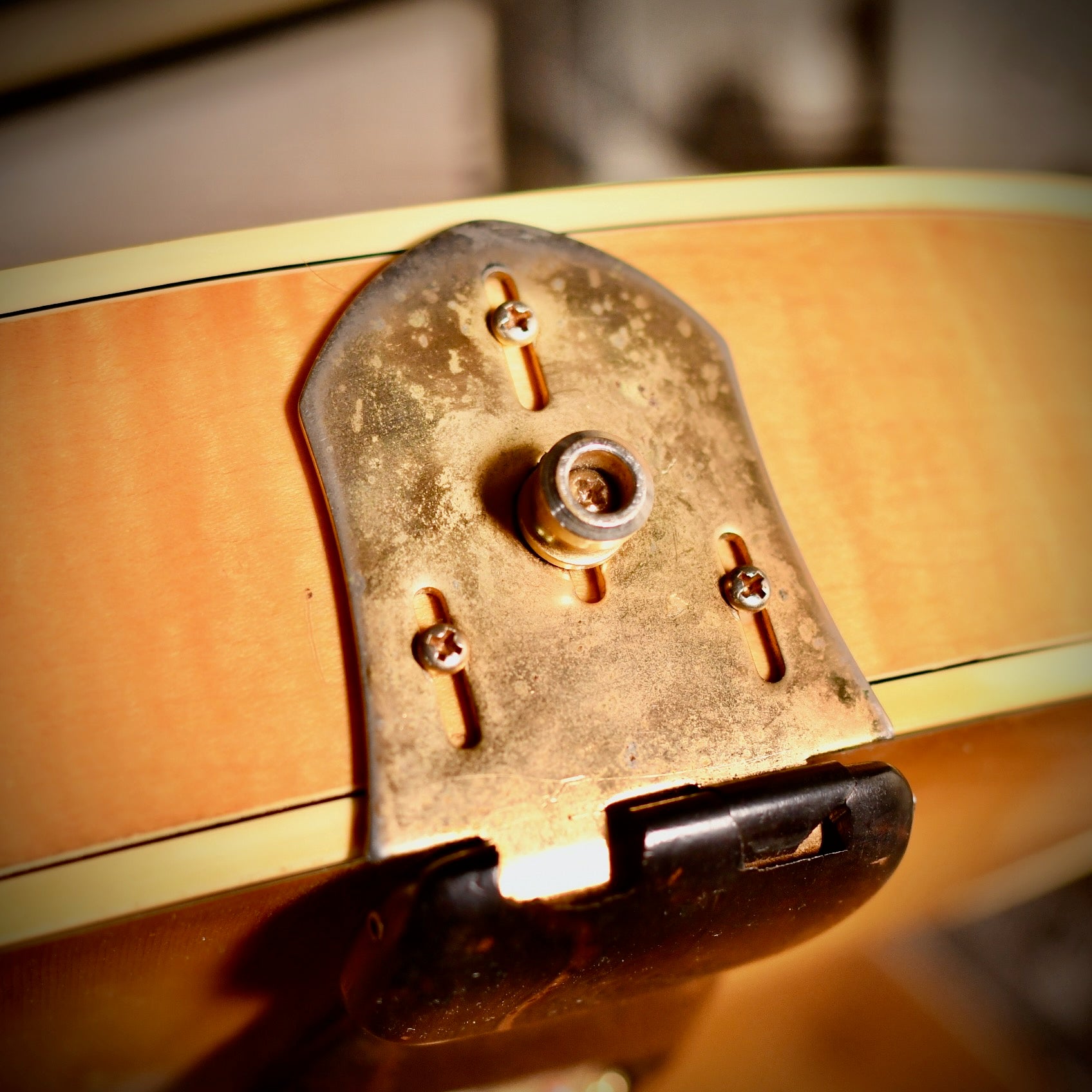 Fender D'Aquisto Elite Natural 1984