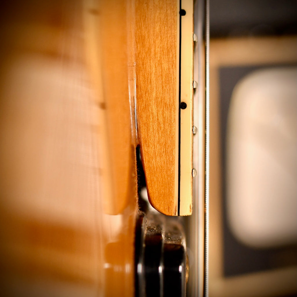 Fender D'Aquisto Elite Natural 1984