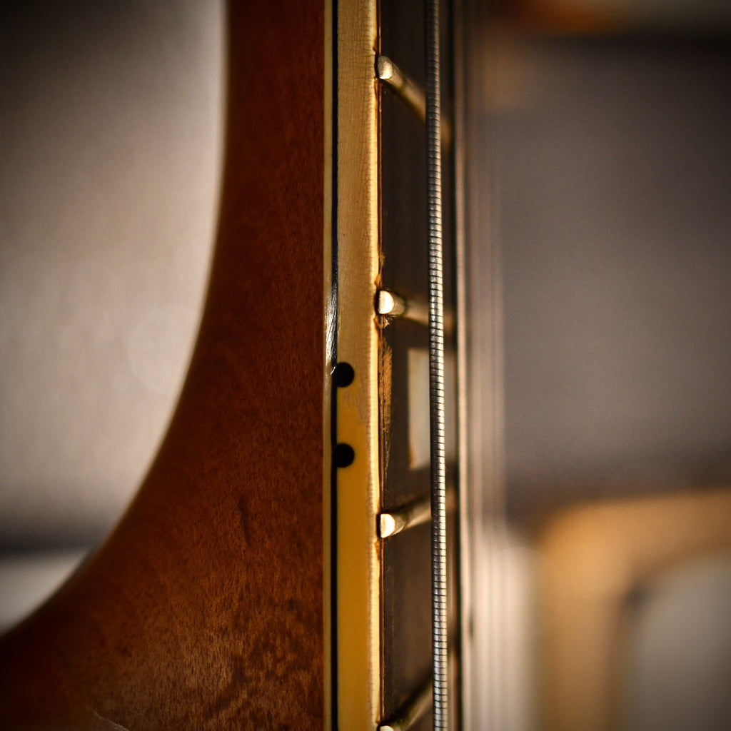 Fender D'Aquisto Elite Natural 1984