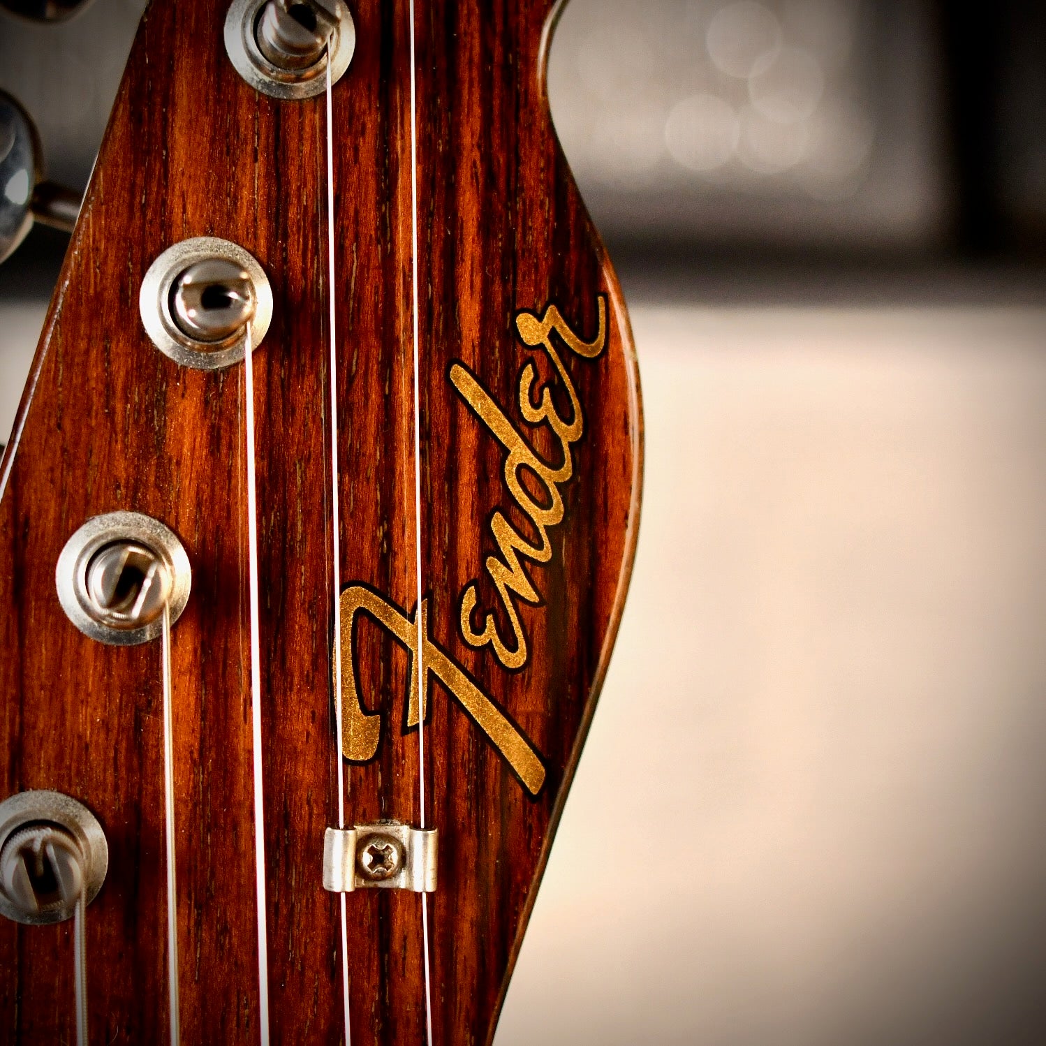 Fender Telecaster George Harrison TL69-115 Rosewood 1985