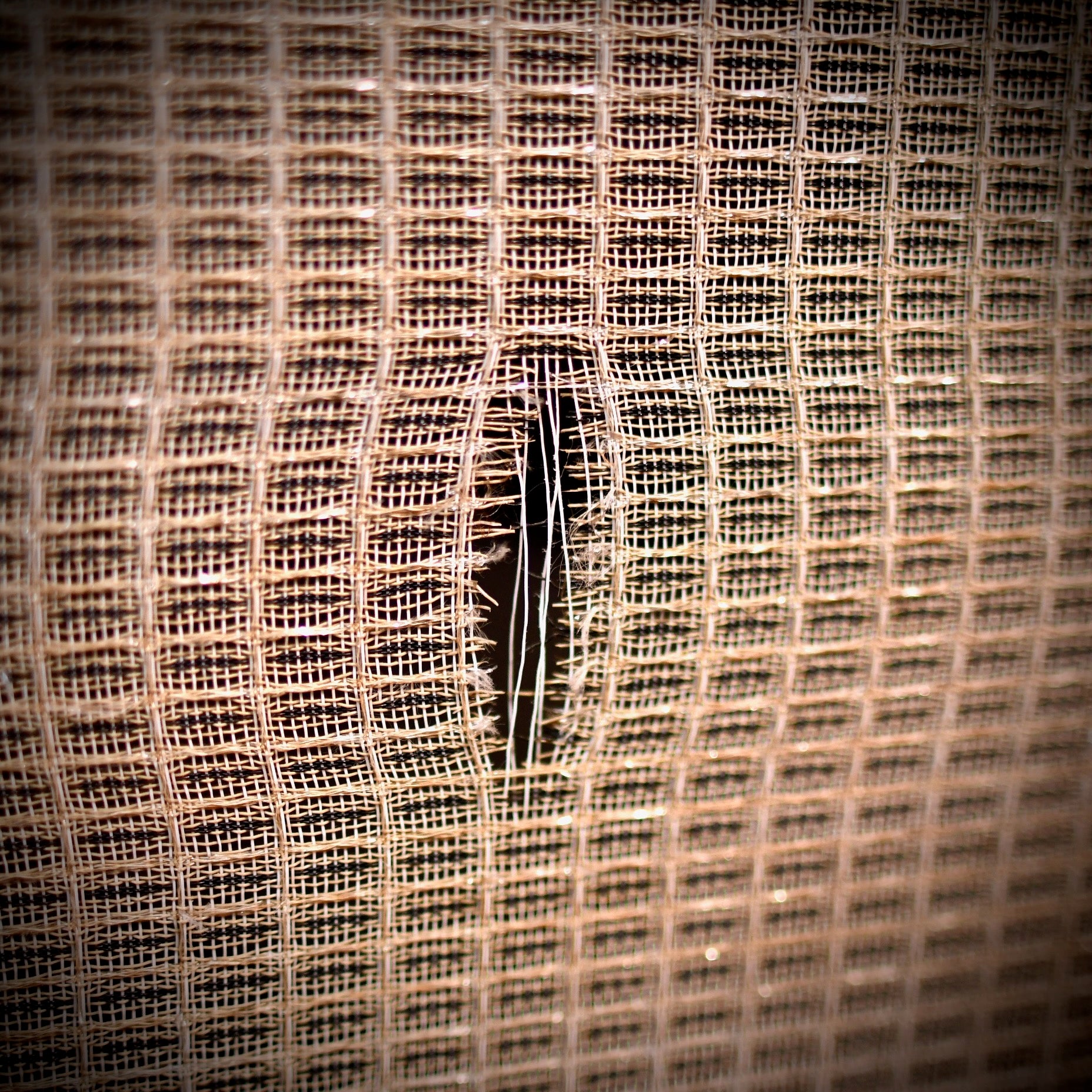 Fender Concert II 1x12" Combo 1982