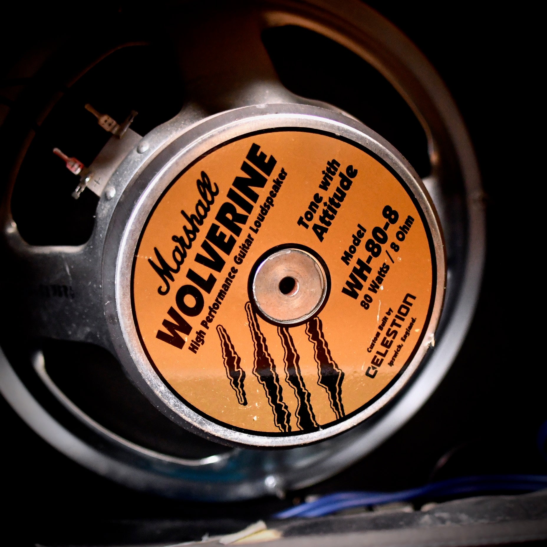 Fender Concert II 1x12" Combo 1982