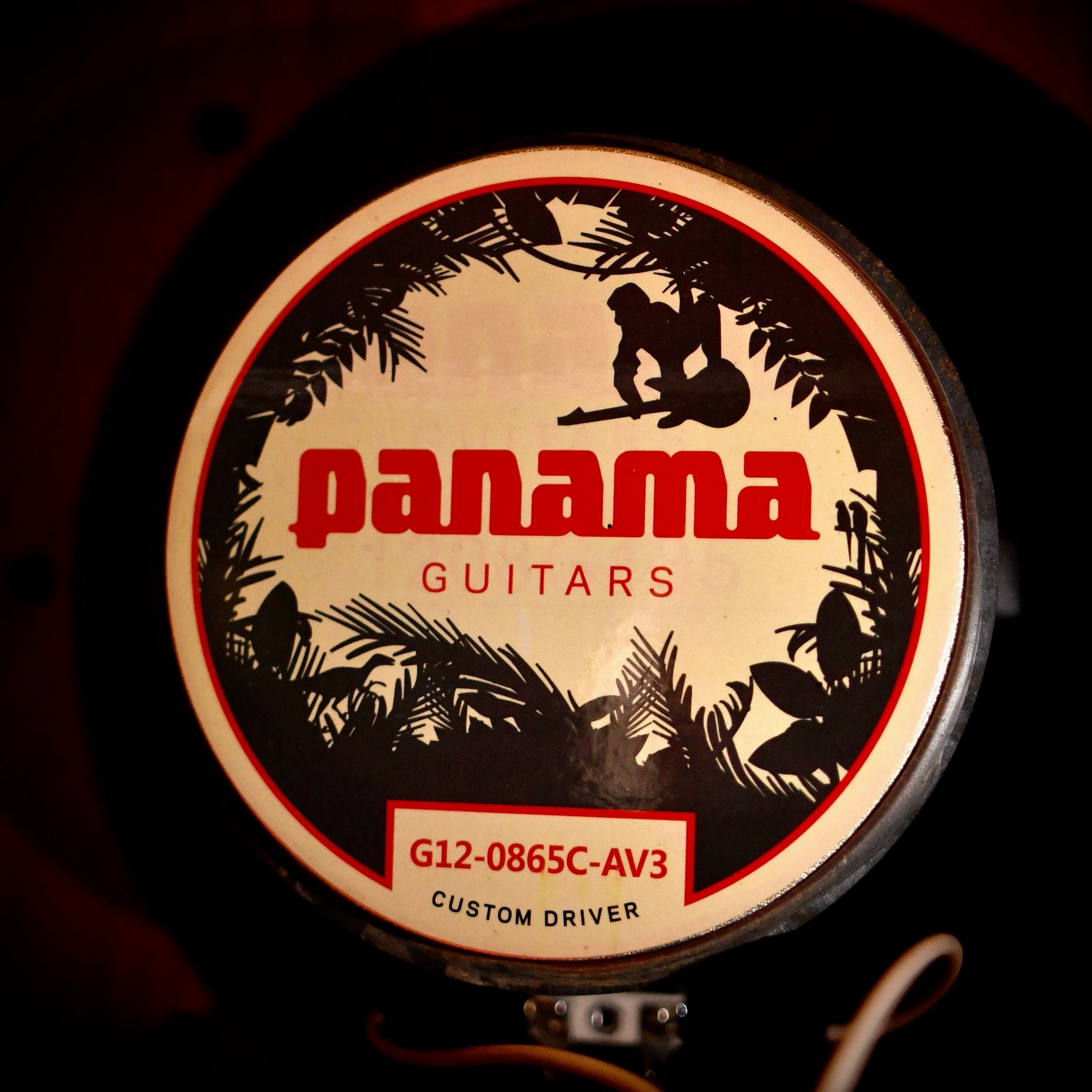 Panama 1x12" Tonewood Series Cab with AV3 Speakers 2015