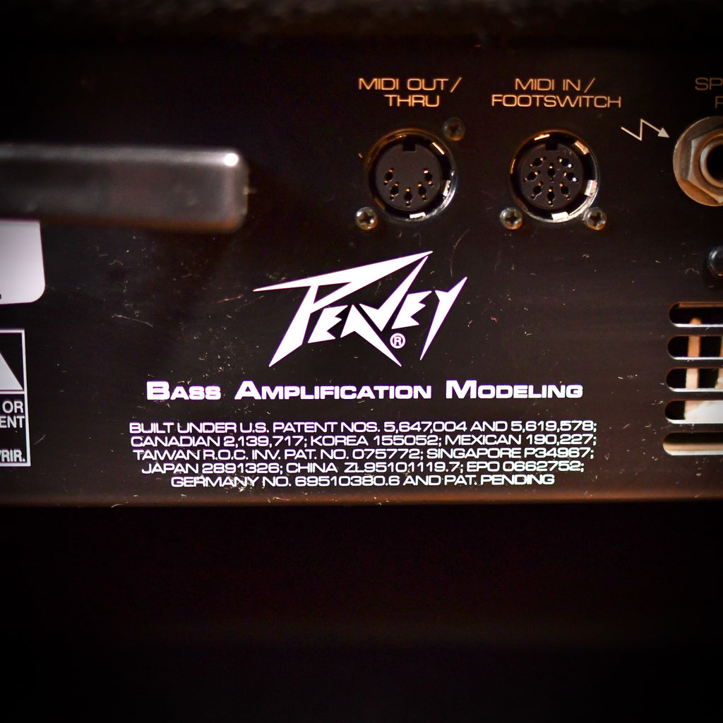 Peavey BAM Bass Head 2001