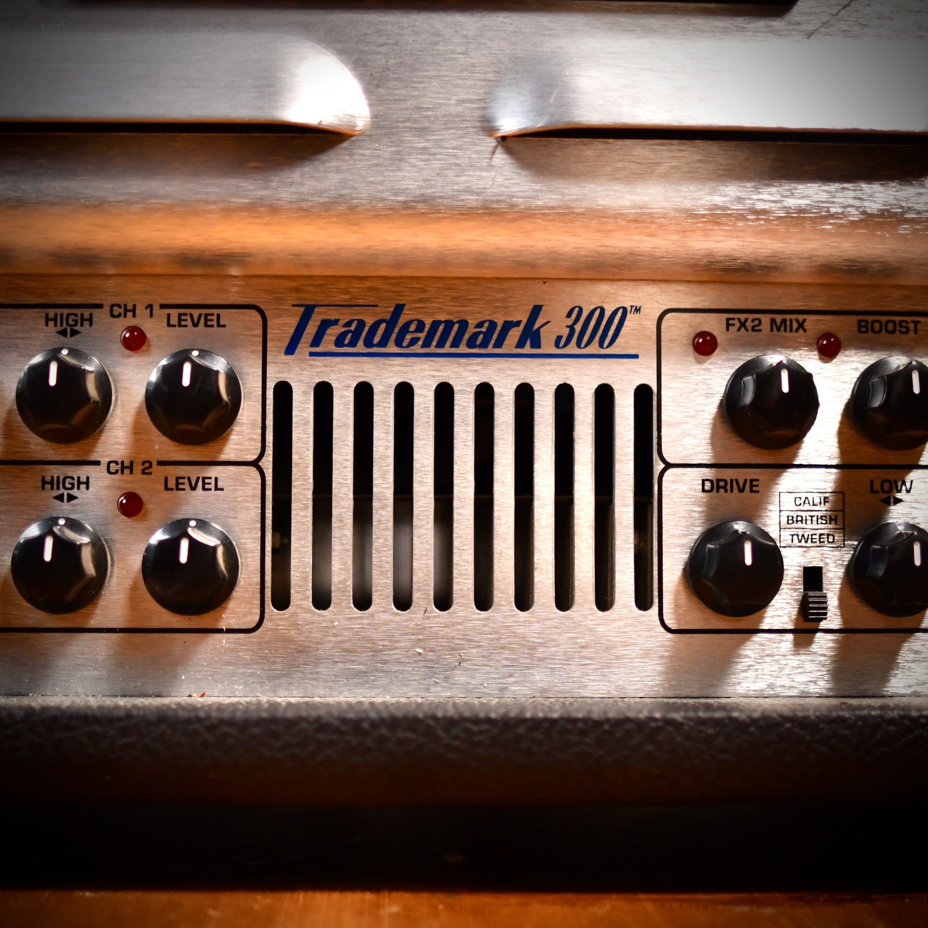 Tech 21 Trademark 300 Amp Head 2003