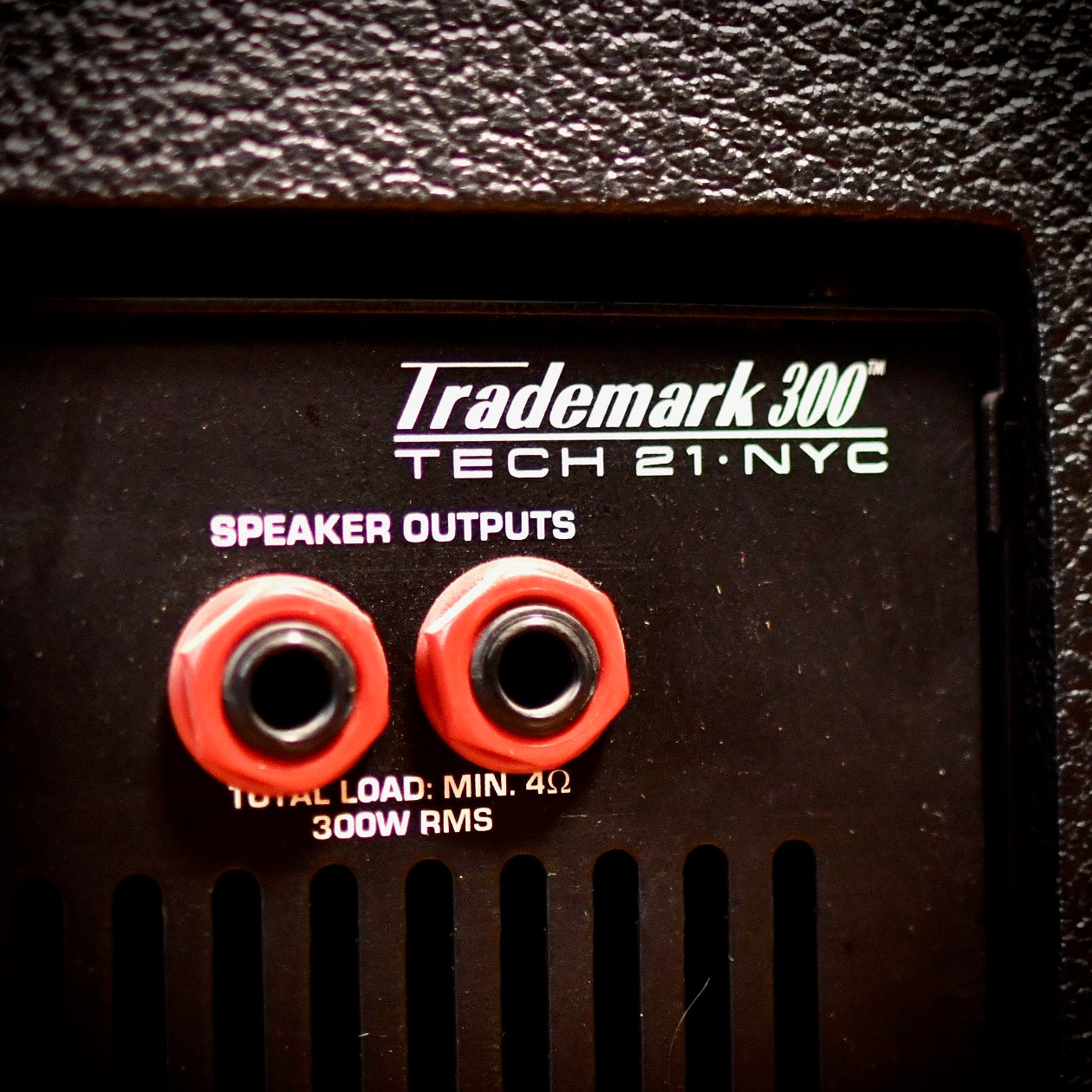 Tech 21 Trademark 300 Amp Head 2003
