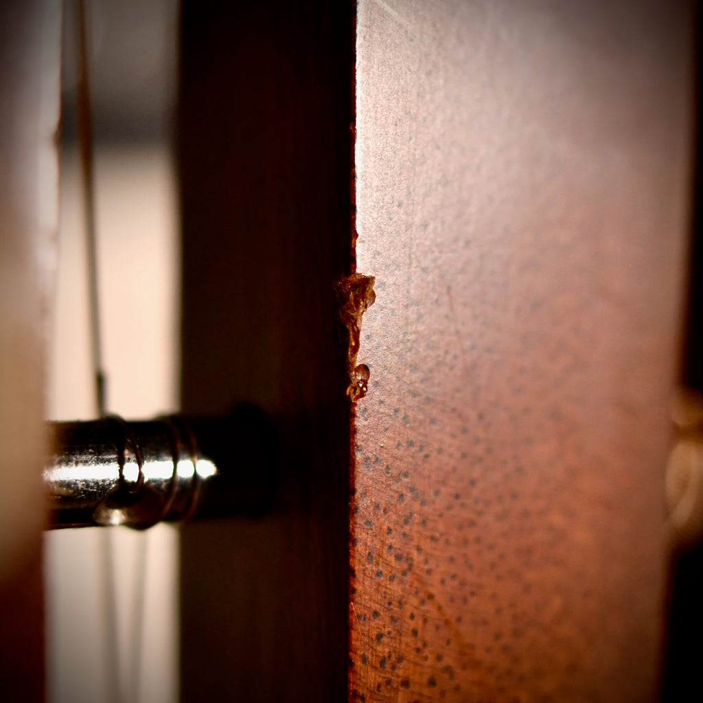 Martin 0-16NY Natural 1971