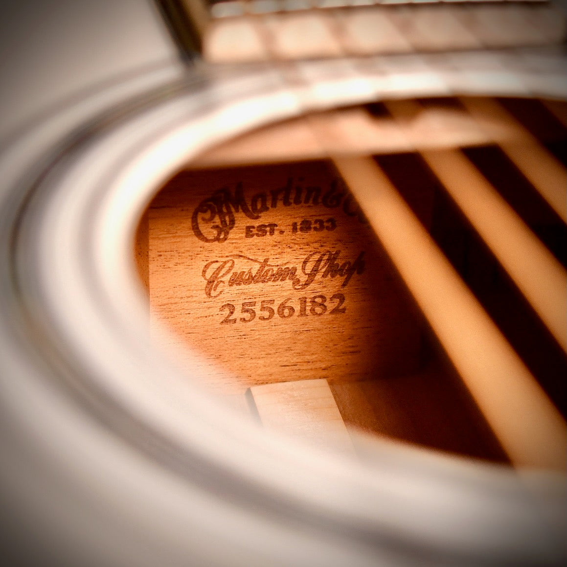 Martin D-45 Custom Shop White 2021
