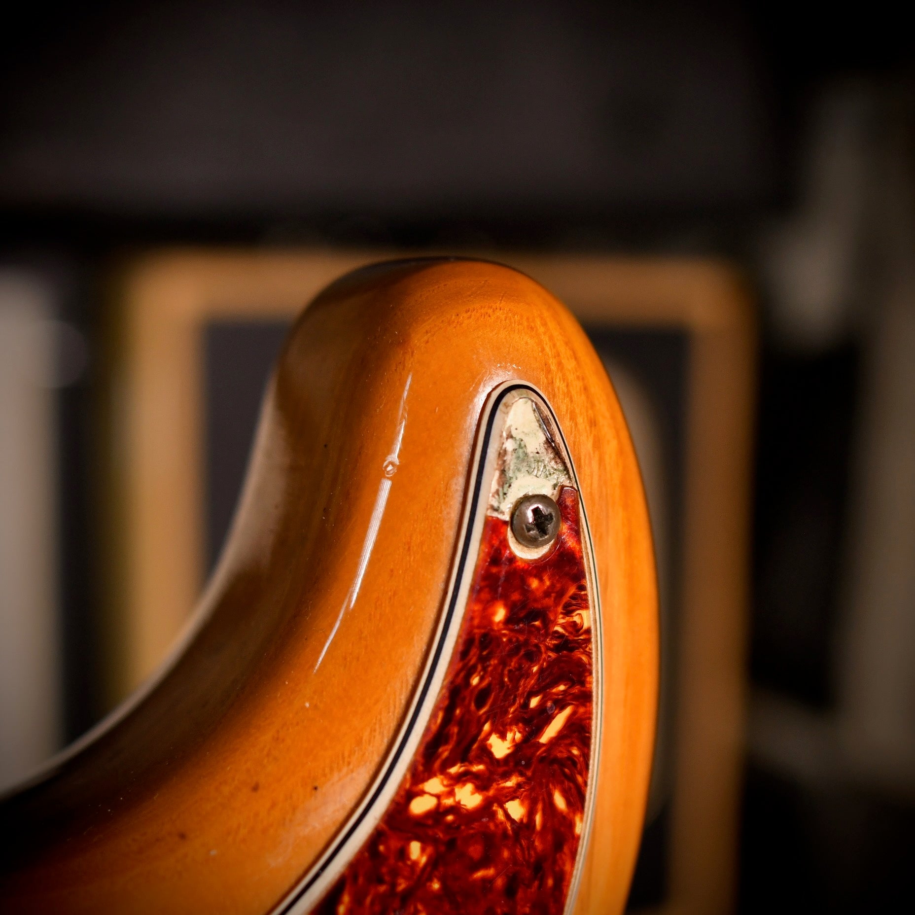 Fender Stratocaster Hardtail Natural 1977
