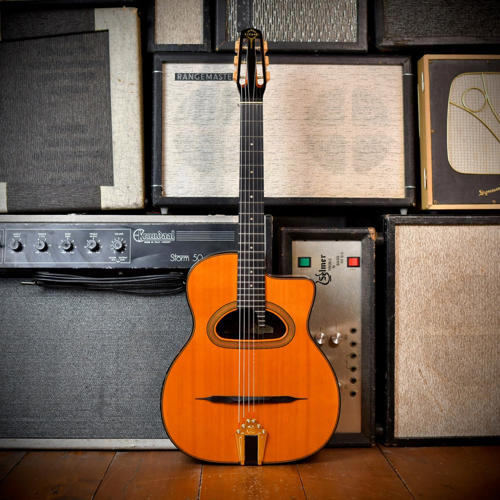 Gitane D-500 Natural 2005