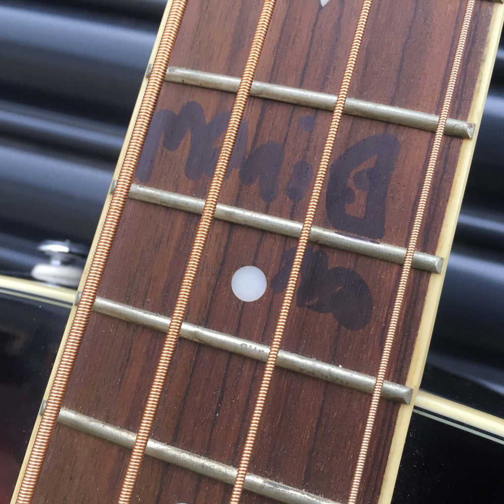 Fender Acoustic Bass Ex Mani THE STONE ROSES Sunburst