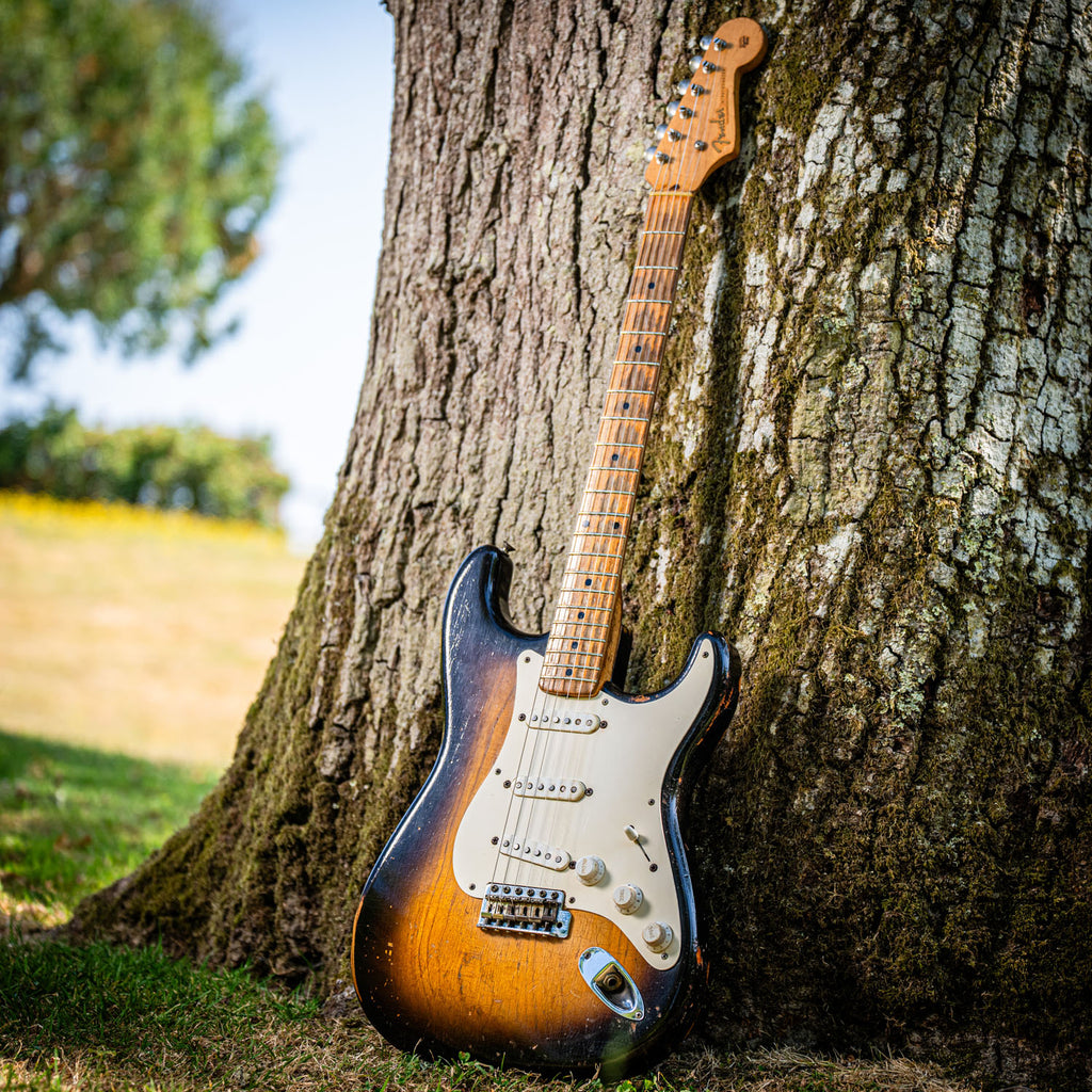 Fender Stratocaster Ash Body Sunburst 1956