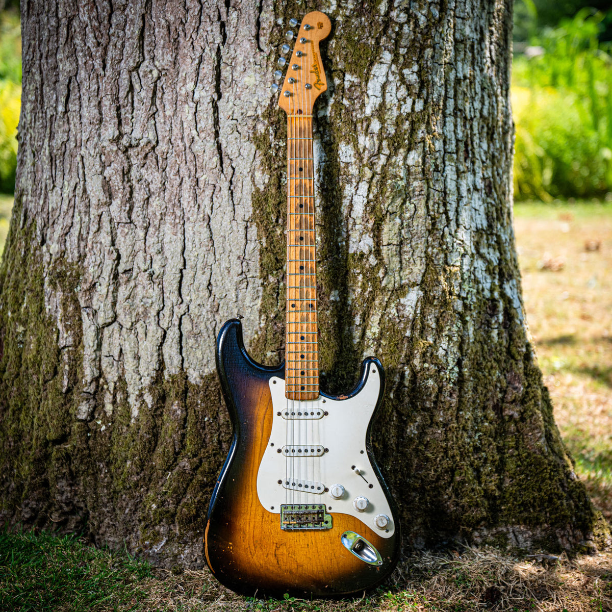 Fender Stratocaster Ash Body Sunburst 1956