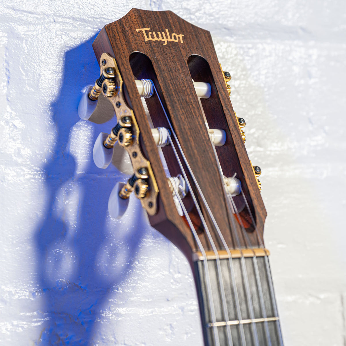Taylor NS32CE Electro Nylon Ex Robert Fripp King Crimson Natural 2003