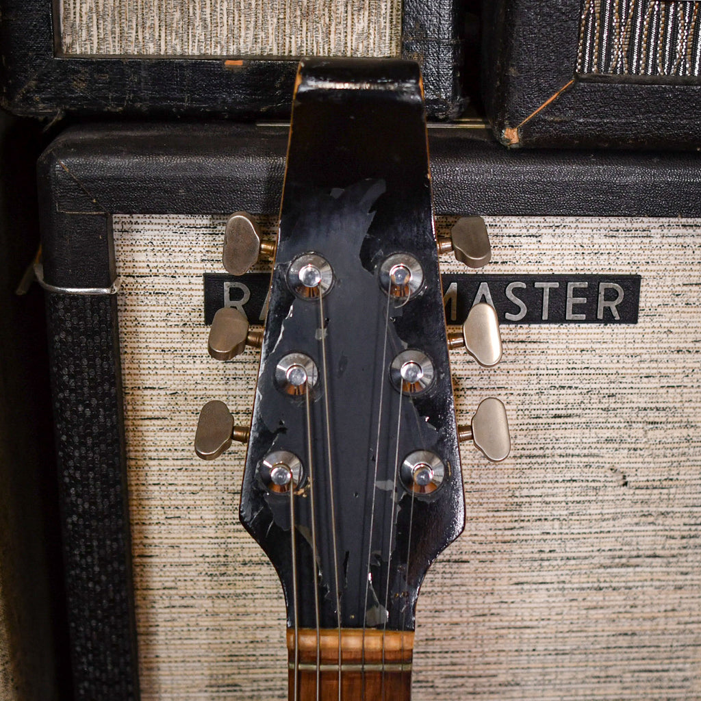 Burns Baldwin Black Bison Black 1966