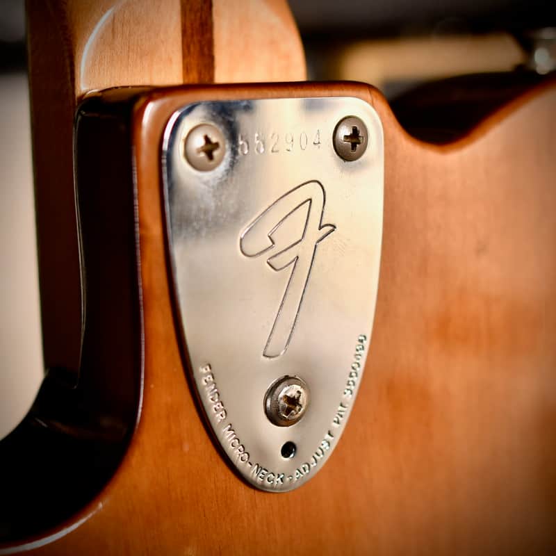 Fender Telecaster Custom Mocha Brown 1974