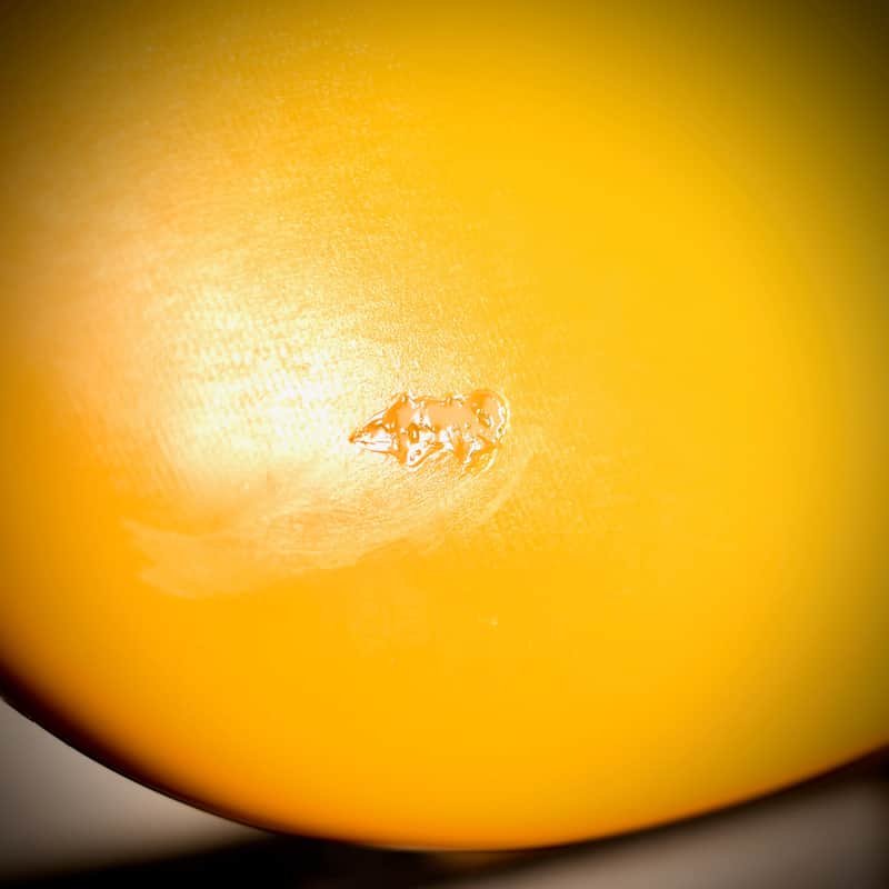 Fender Stratocaster International Colour Monaco Yellow 1981