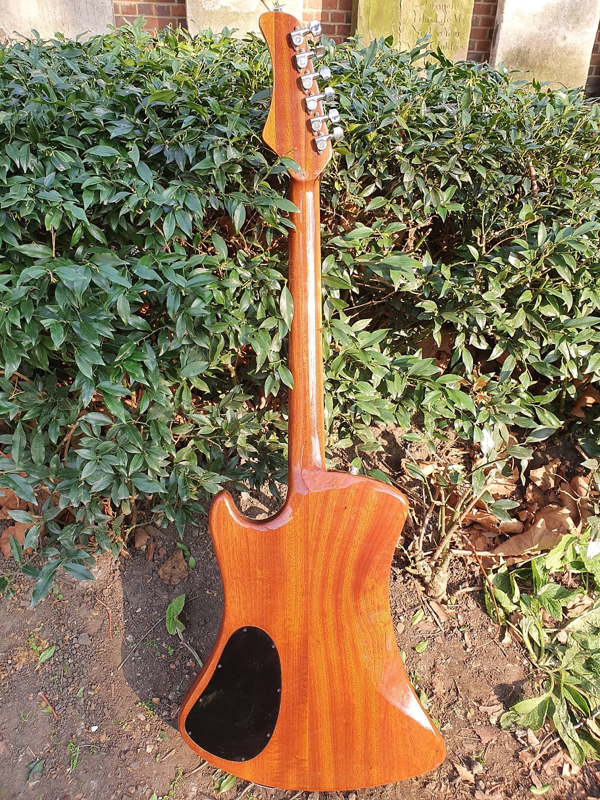 1980s Hofner Razorwood