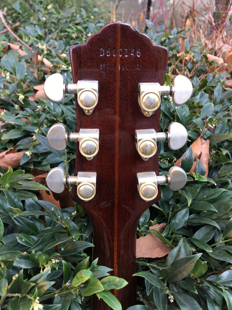 1990s Guild D60