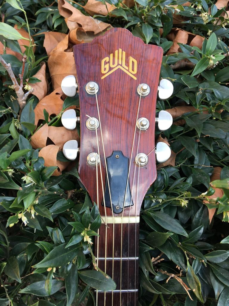 1971 Guild D40
