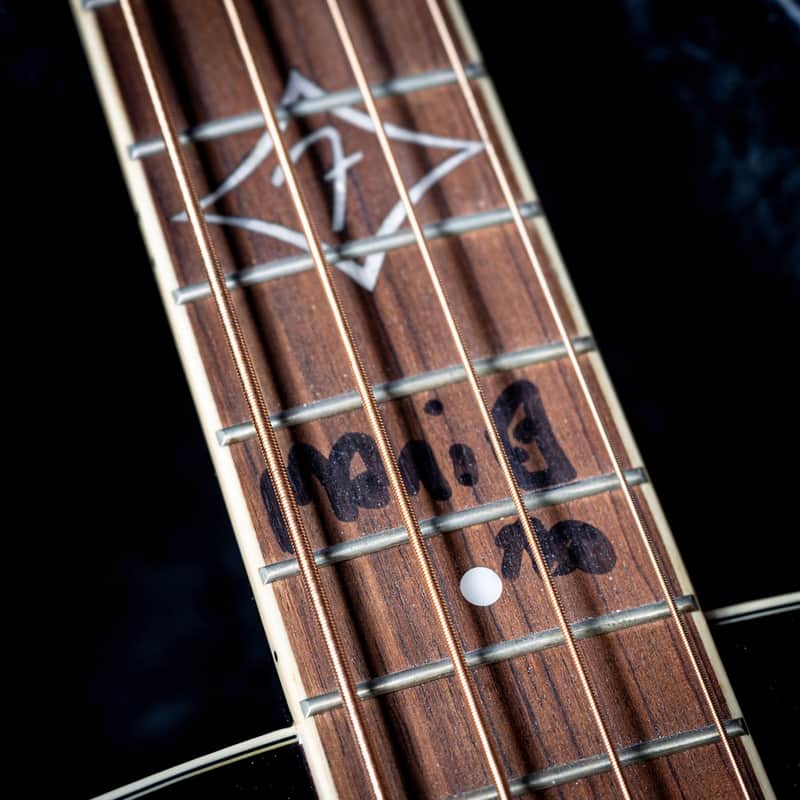 Fender Acoustic Bass Ex Mani THE STONE ROSES Sunburst