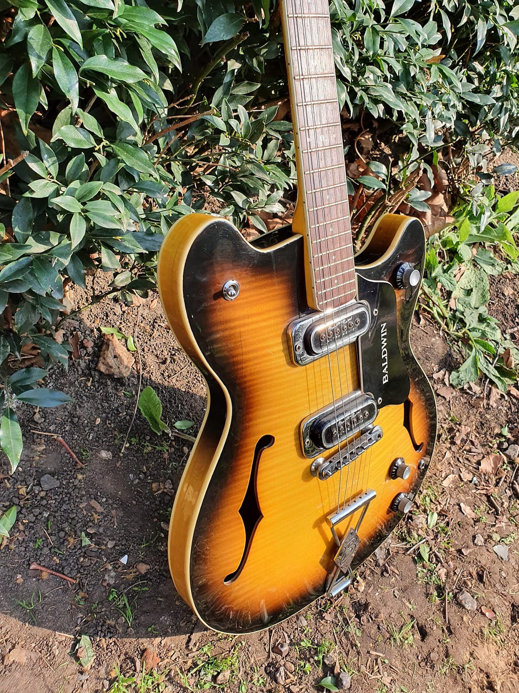 1966 Burns Baldwin GB66