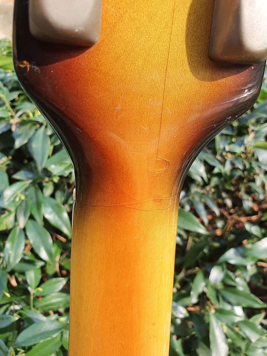 1966 Burns Baldwin GB66