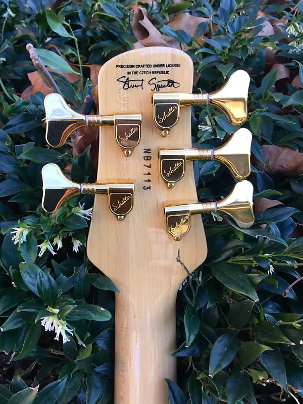 2000s Spector Euro 5LX 5 String Bass