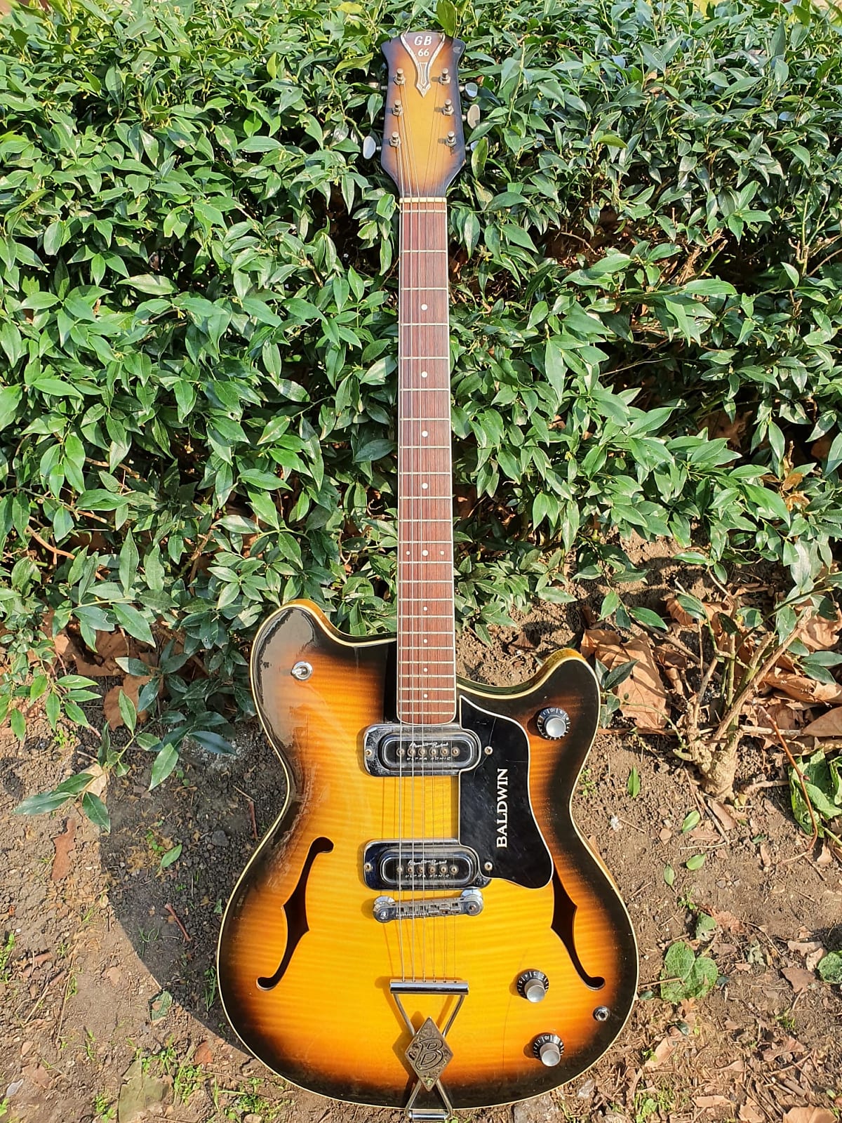 1966 Burns Baldwin GB66