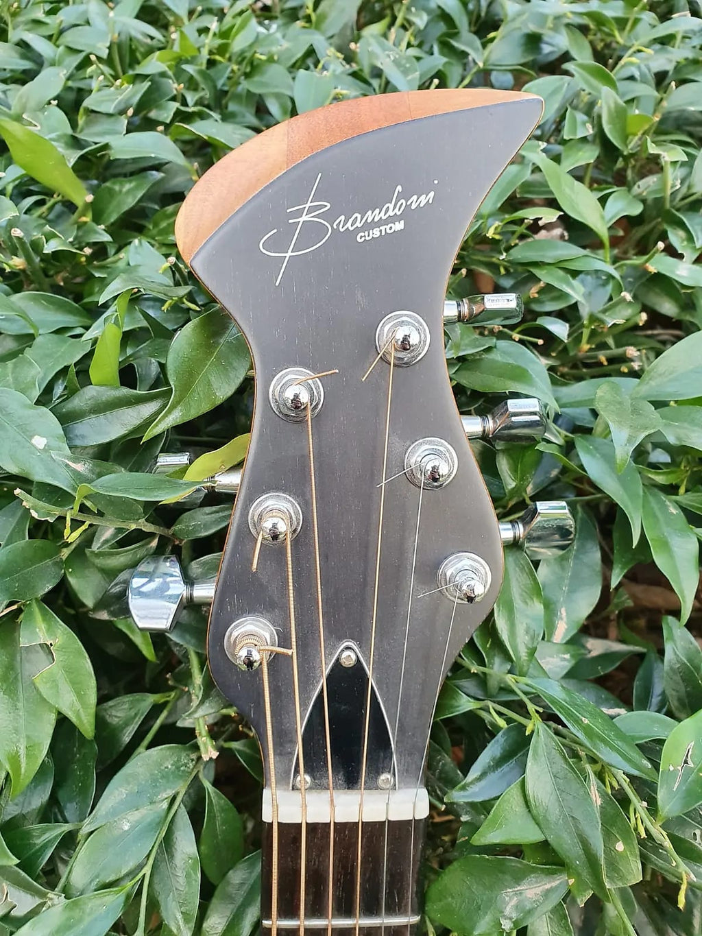 Brandoni Custom Acoustic