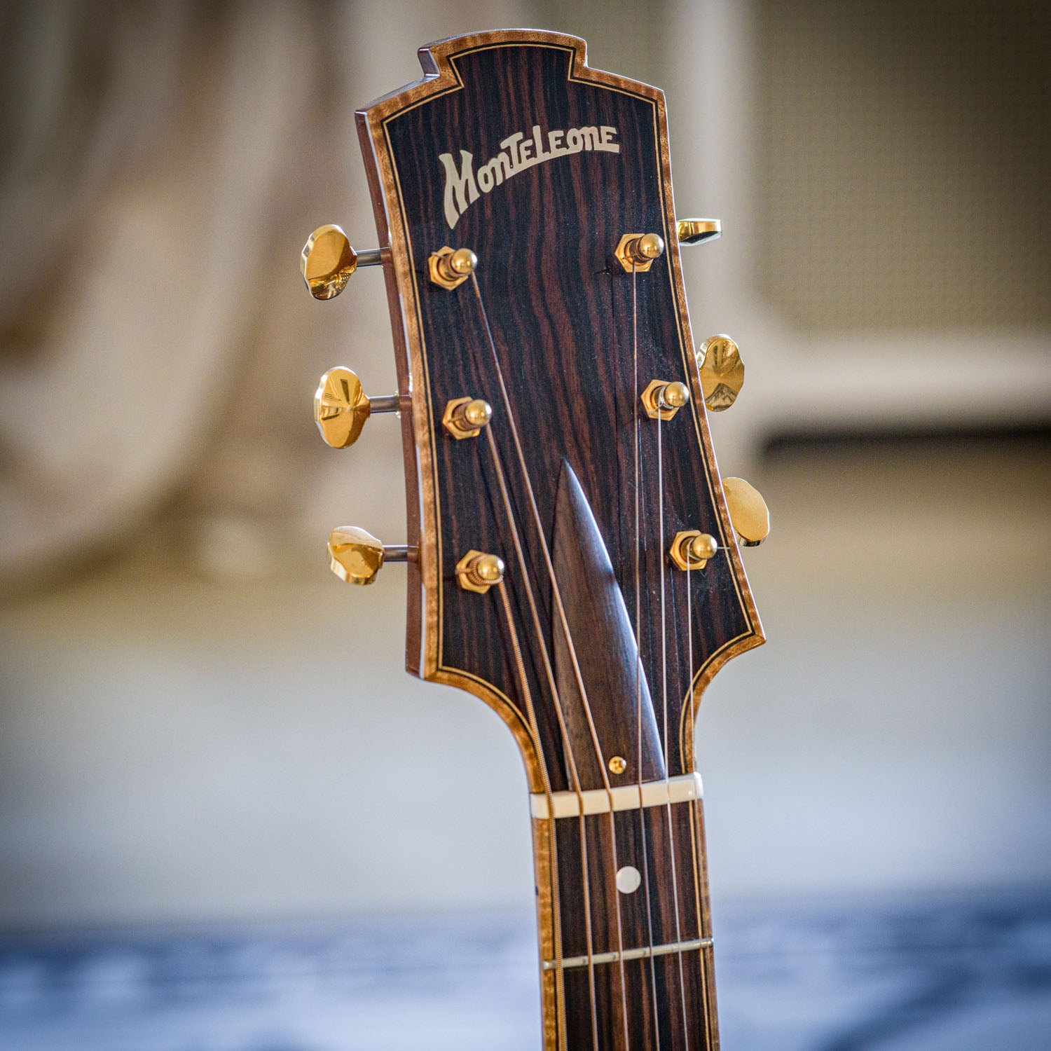 Monteleone Hexaphone Acoustic Natural 2012