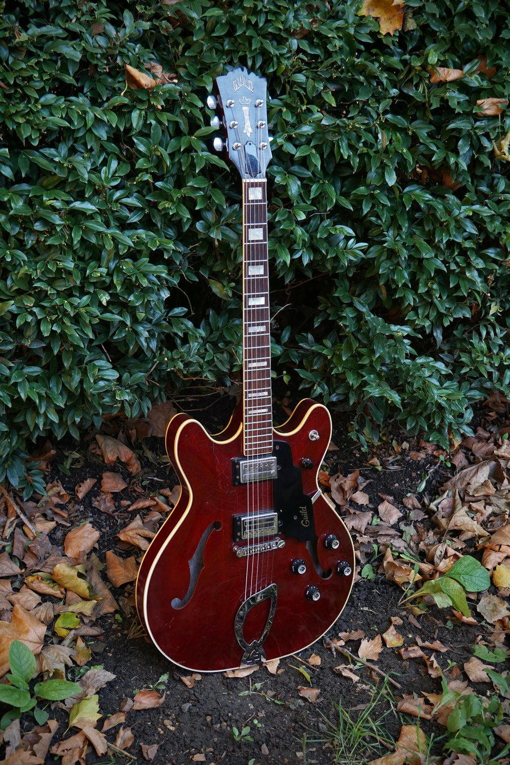 1974 Guild Starfire