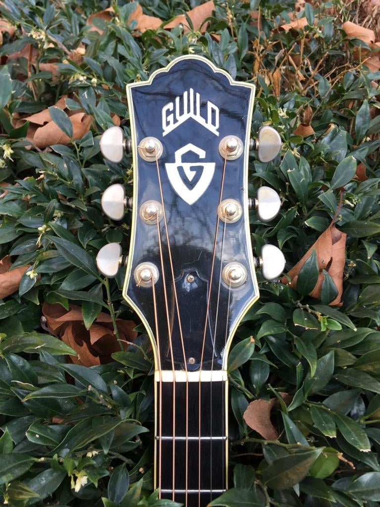 1990s Guild D60