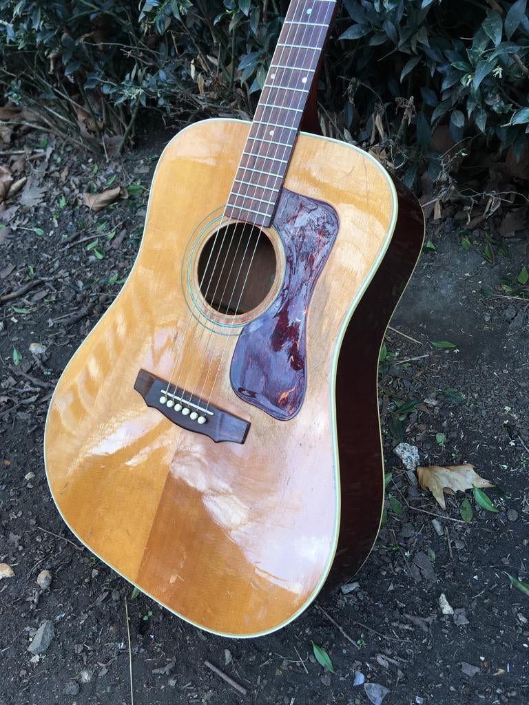 1971 Guild D40